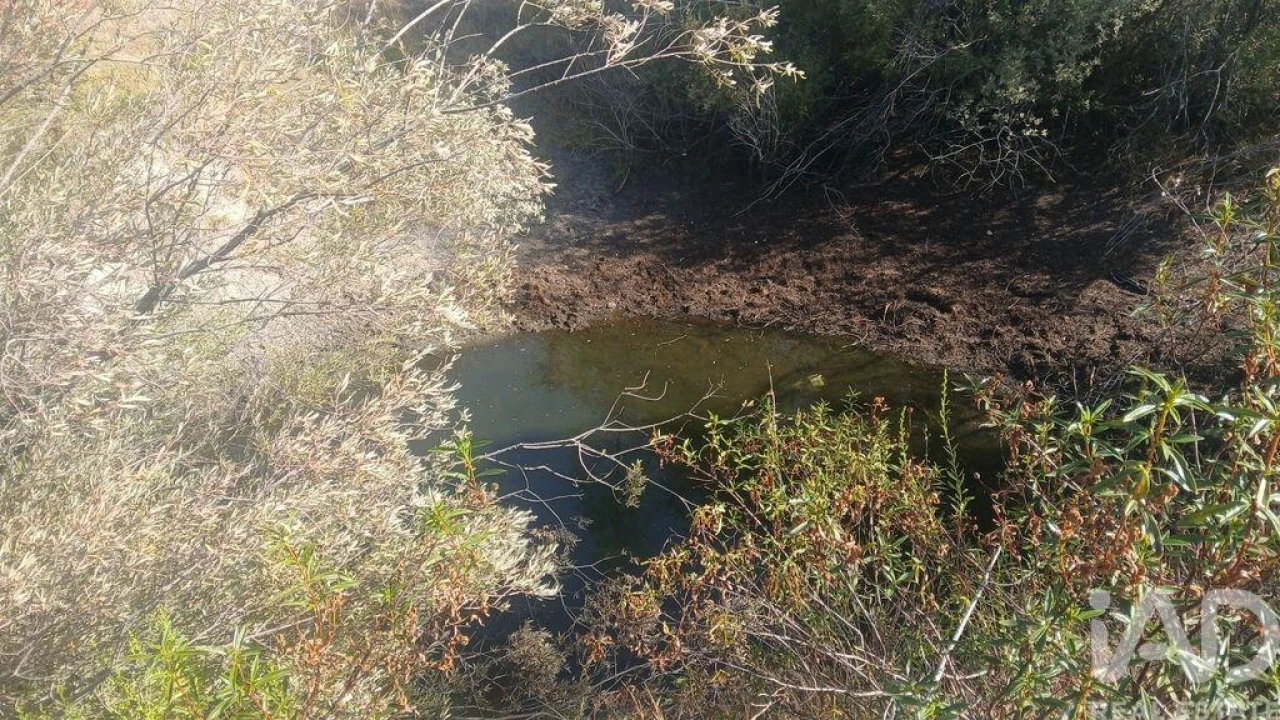 Terreno para Venda em Sarzedas Foto 9
