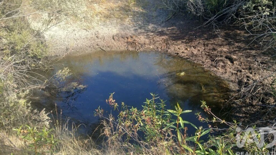 Terreno para Venda em Sarzedas