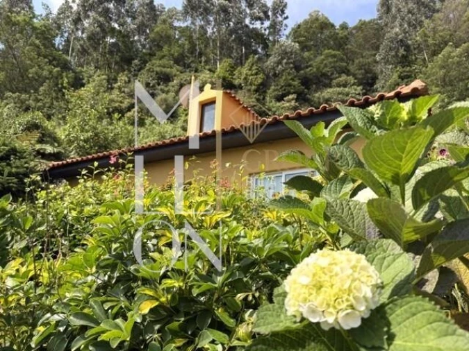 Moradia T2 para Venda em Santo Antonio da Serra Foto 28