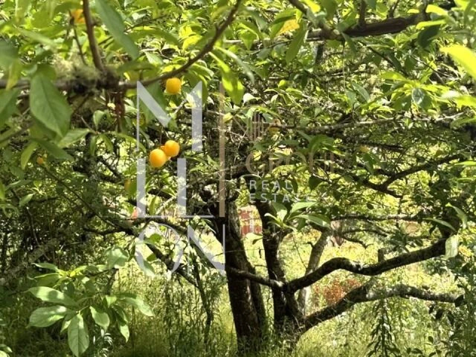 Moradia T2 para Venda em Santo Antonio da Serra Foto 24