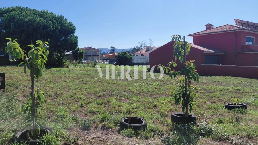 Terreno para Venda em Tamel (São Verissimo) Foto 6