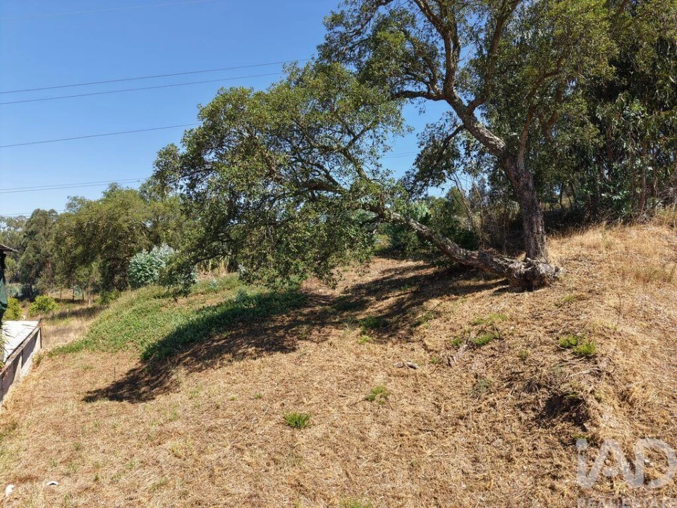 Terreno para Venda em Sé Nova, Santa Cruz, Almedina e São Bartolomeu Foto 9