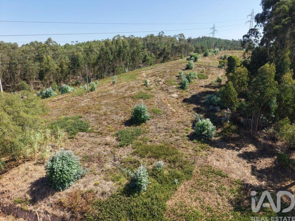 Terreno para Venda em Sé Nova, Santa Cruz, Almedina e São Bartolomeu Foto 8