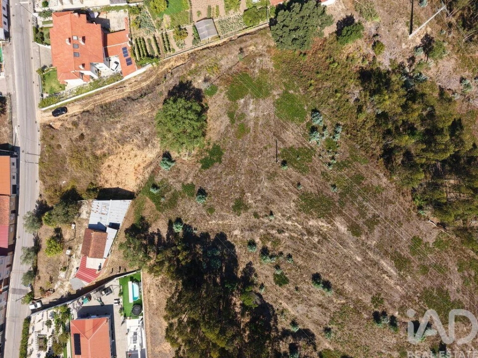 Terreno para Venda em Sé Nova, Santa Cruz, Almedina e São Bartolomeu Foto 4