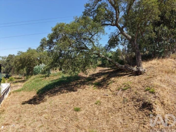 Terreno para Venda em Sé Nova, Santa Cruz, Almedina e São Bartolomeu