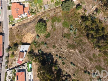 Terreno para Venda em Sé Nova, Santa Cruz, Almedina e São Bartolomeu