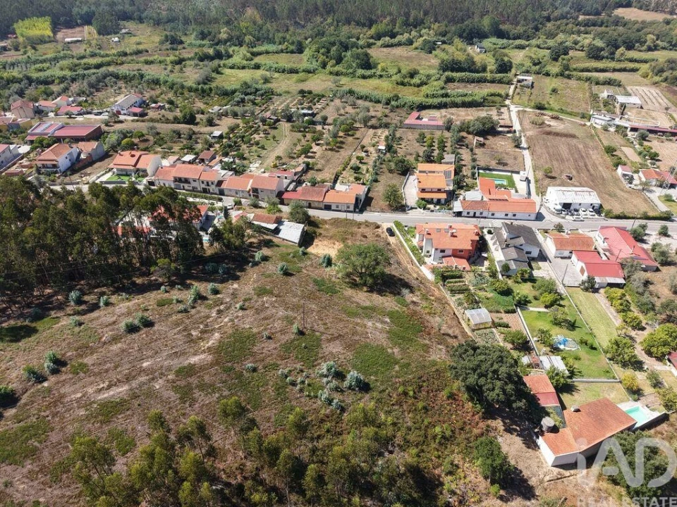 Terreno para Venda em Sé Nova, Santa Cruz, Almedina e São Bartolomeu Foto 7