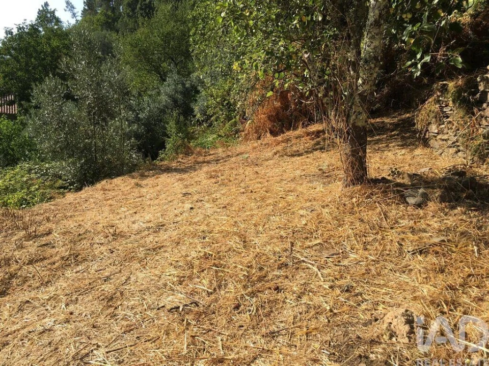 Moradia T5 para Venda em Celavisa Foto 23
