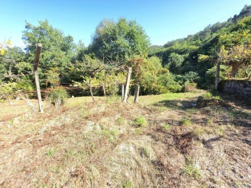 Moradia T2 para Venda em Covas