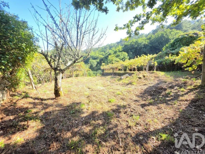 Moradia T2 para Venda em Covas Foto 13