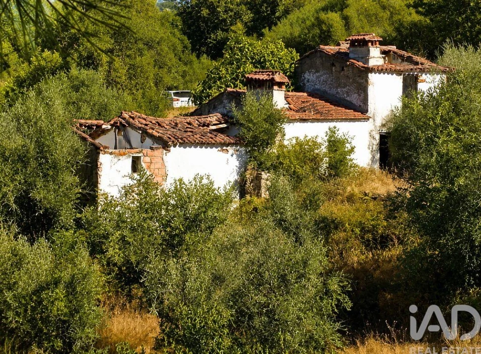 Quinta T2 para Venda em Alegrete Foto 1