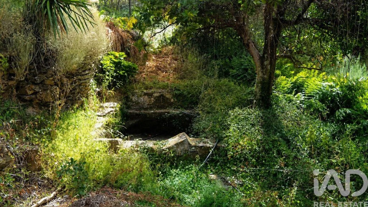 Quinta T2 para Venda em Alegrete Foto 18