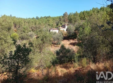 Quinta T2 para Venda em Alegrete