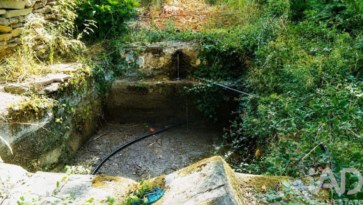 Quinta T2 para Venda em Alegrete Foto 17