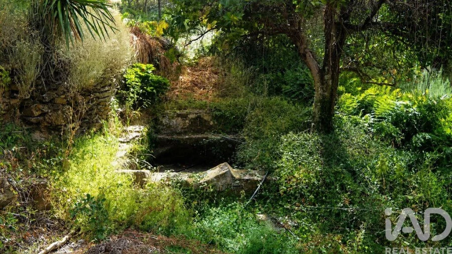 Quinta T2 para Venda em Alegrete Foto 18