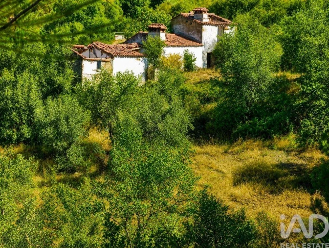 Quinta T2 para Venda em Alegrete Foto 2