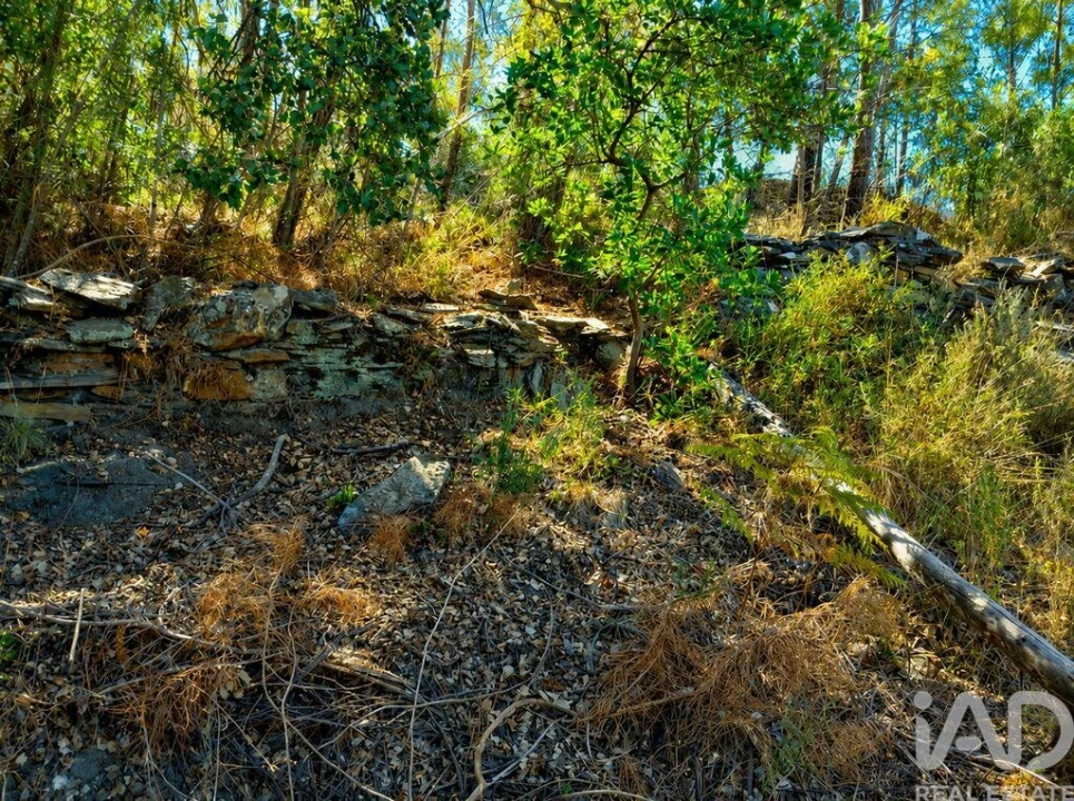 Quinta T2 para Venda em Alegrete Foto 19