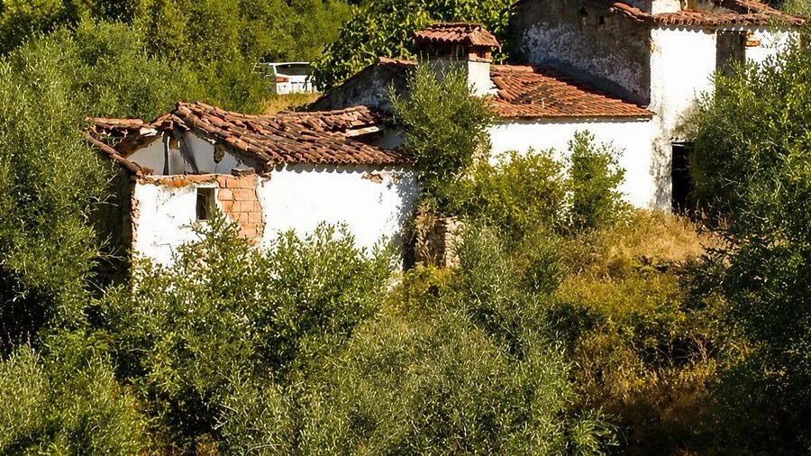 Quinta T2 para Venda em Alegrete