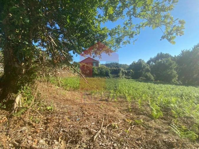 Terreno para Venda em Aboim da Nóbrega e Gondomar Foto 24
