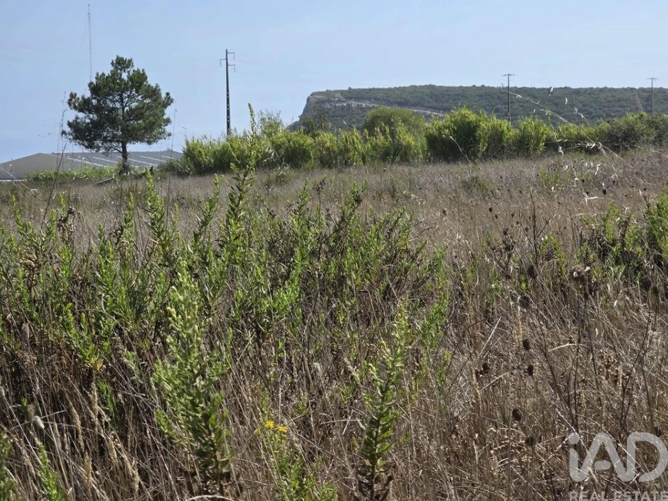 Terreno para Venda em Sesimbra (Castelo) Foto 1