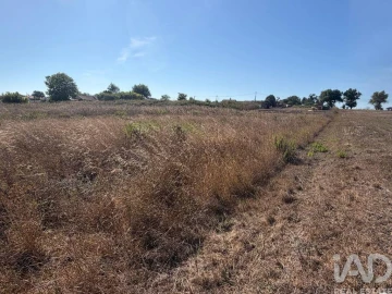 Terreno para Venda em Sesimbra (Castelo)