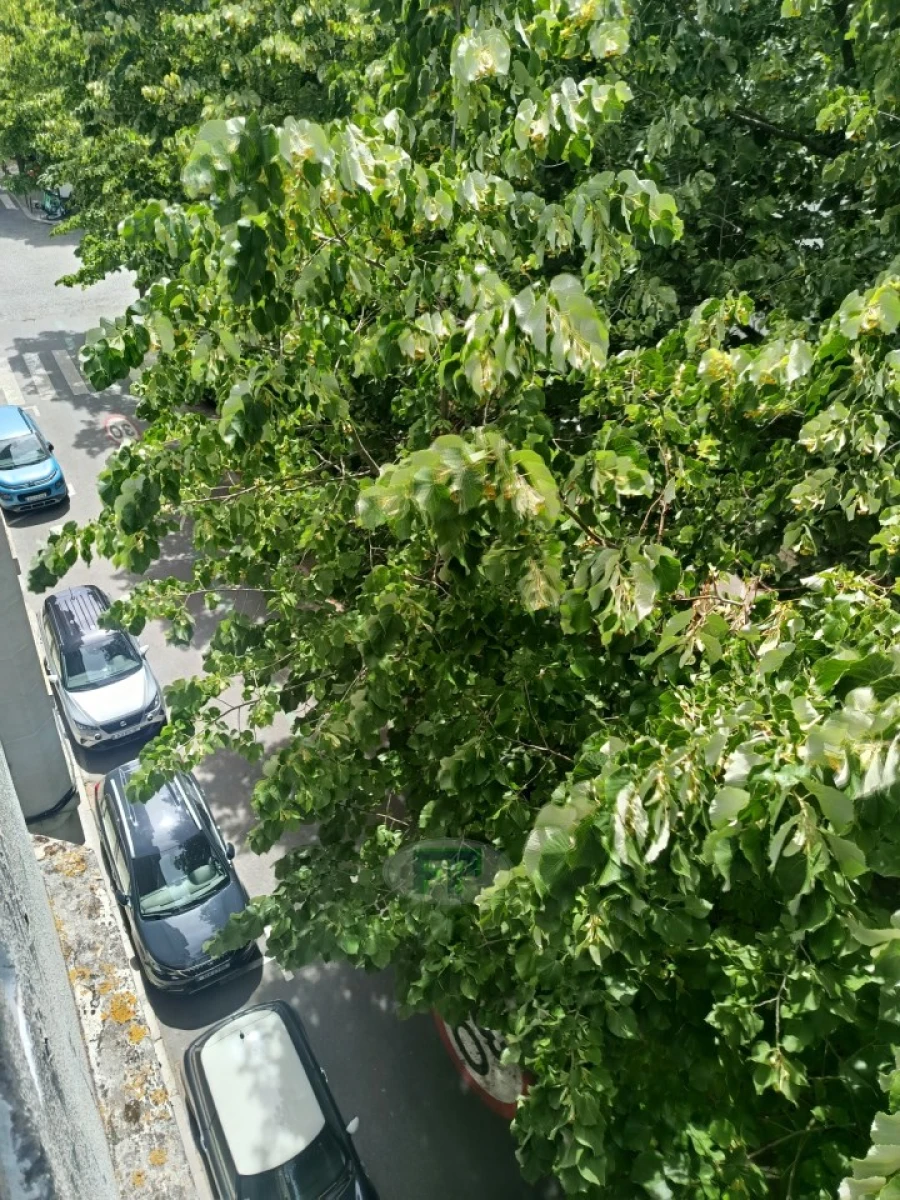 Apartamento T4 para Arrendamento em Avenidas Novas Foto 21