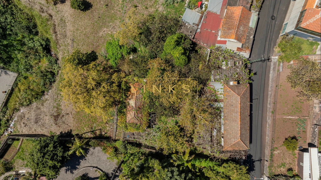 Quinta para Venda em Caniço Foto 14