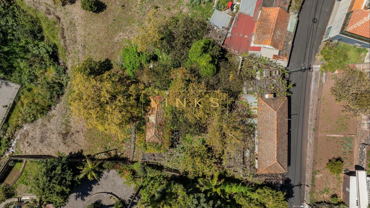 Quinta para Venda em Caniço Foto 3