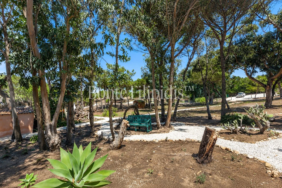 Quinta T6 para Arrendamento em Colares Foto 18