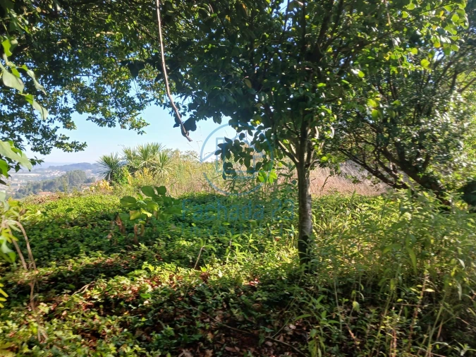 Moradia T5 para Venda em São Tomé de Negrelos Foto 24