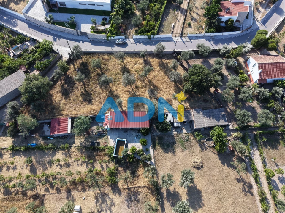 Terreno para Venda em Castelo Branco Foto 6