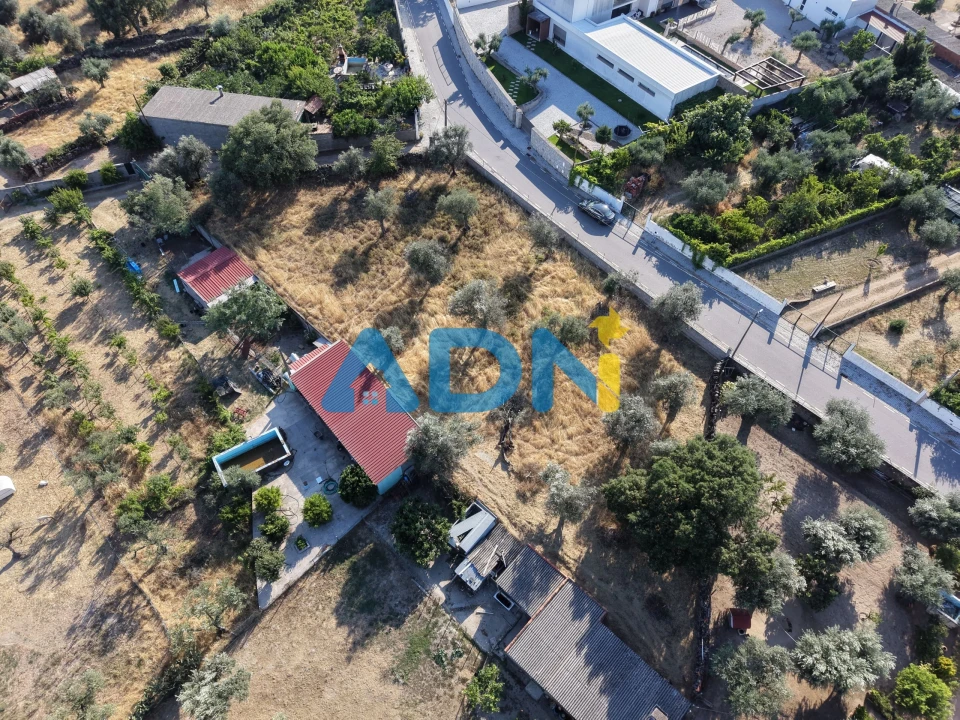 Terreno para Venda em Castelo Branco Foto 4