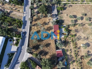 Terreno para Venda em Castelo Branco