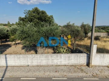 Terreno para Venda em Castelo Branco