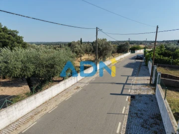 Terreno para Venda em Castelo Branco