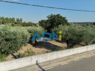 Terreno para Venda em Castelo Branco