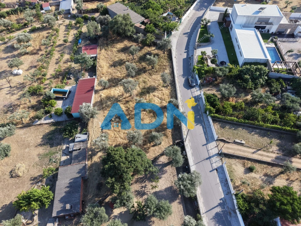 Terreno para Venda em Castelo Branco Foto 3