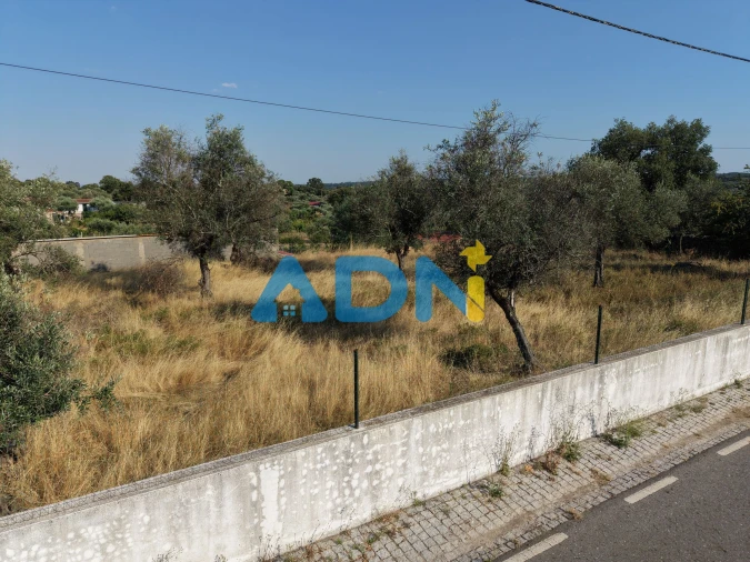 Terreno para Venda em Castelo Branco Foto 19
