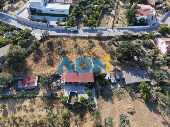 Terreno para Venda em Castelo Branco Foto 5