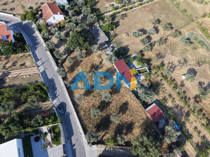Terreno para Venda em Castelo Branco Foto 11