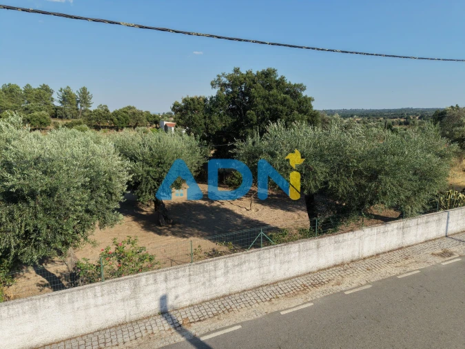 Terreno para Venda em Castelo Branco Foto 26