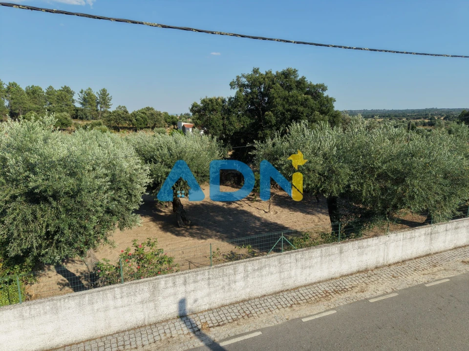 Terreno para Venda em Castelo Branco Foto 25