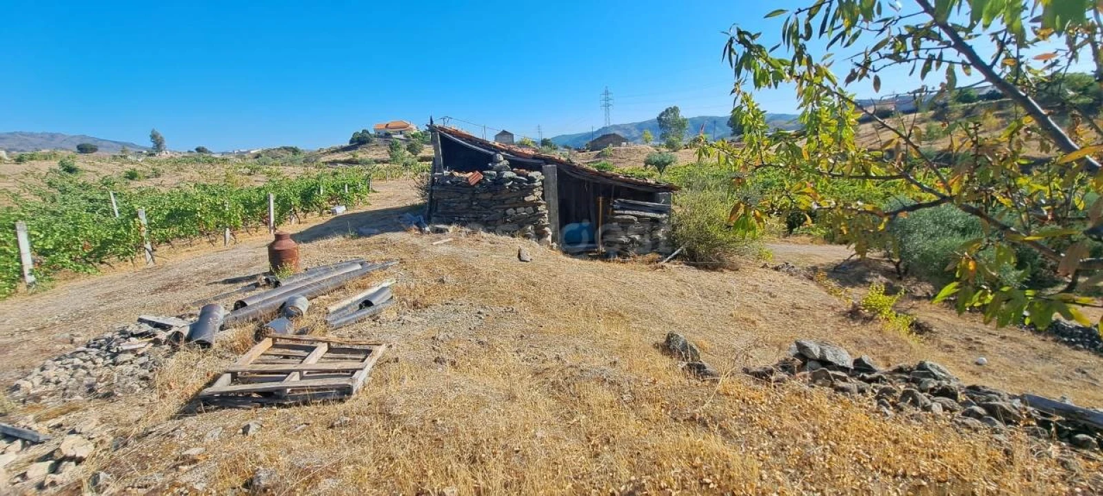 Terreno para Venda em Cabeça Boa Foto 4
