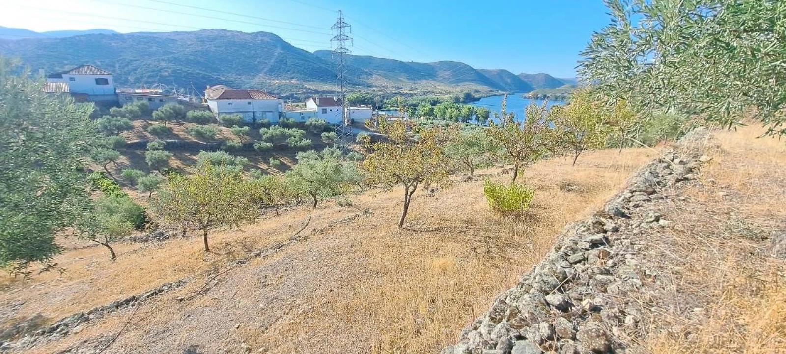 Terreno para Venda em Cabeça Boa Foto 5