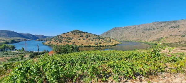 Terreno para Venda em Cabeça Boa