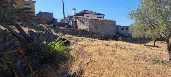 Terreno para Venda em Cabeça Boa