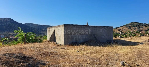 Terreno para Venda em Cabeça Boa