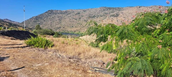 Terreno para Venda em Cabeça Boa