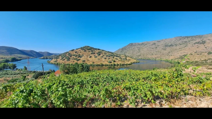 Terreno para Venda em Cabeça Boa