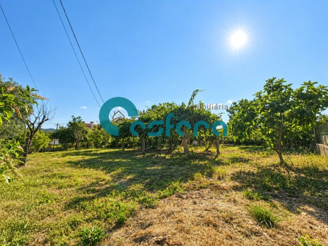 Terreno para Venda em Valongo Foto 5